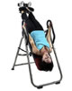 FitSpine Inversion
